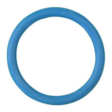 Joint de filtre bleu Gascoigne Melotte