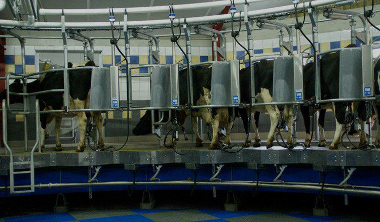 Pièces détachées pour salle de traite Boumatic 