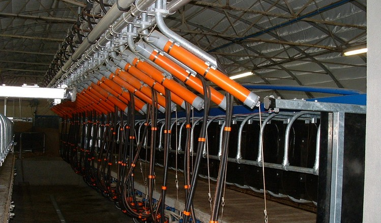 Salle de traite Boumatic