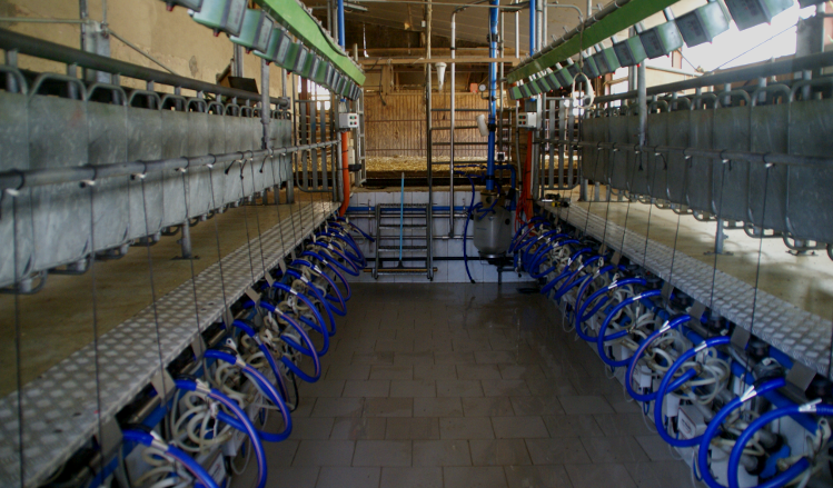 Pièces détachées pour salle de traite